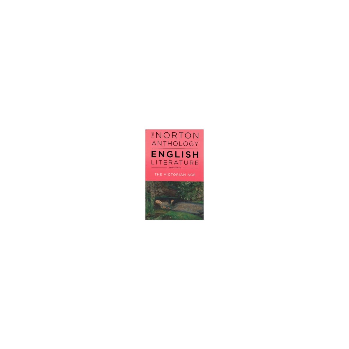 Afbeelding van The Norton anthology of English Literature 10th ed : Volume E : The Victorian age Afbeelding van The Norton anthology of English Literature 10th ed : Volume E : The Victorian age