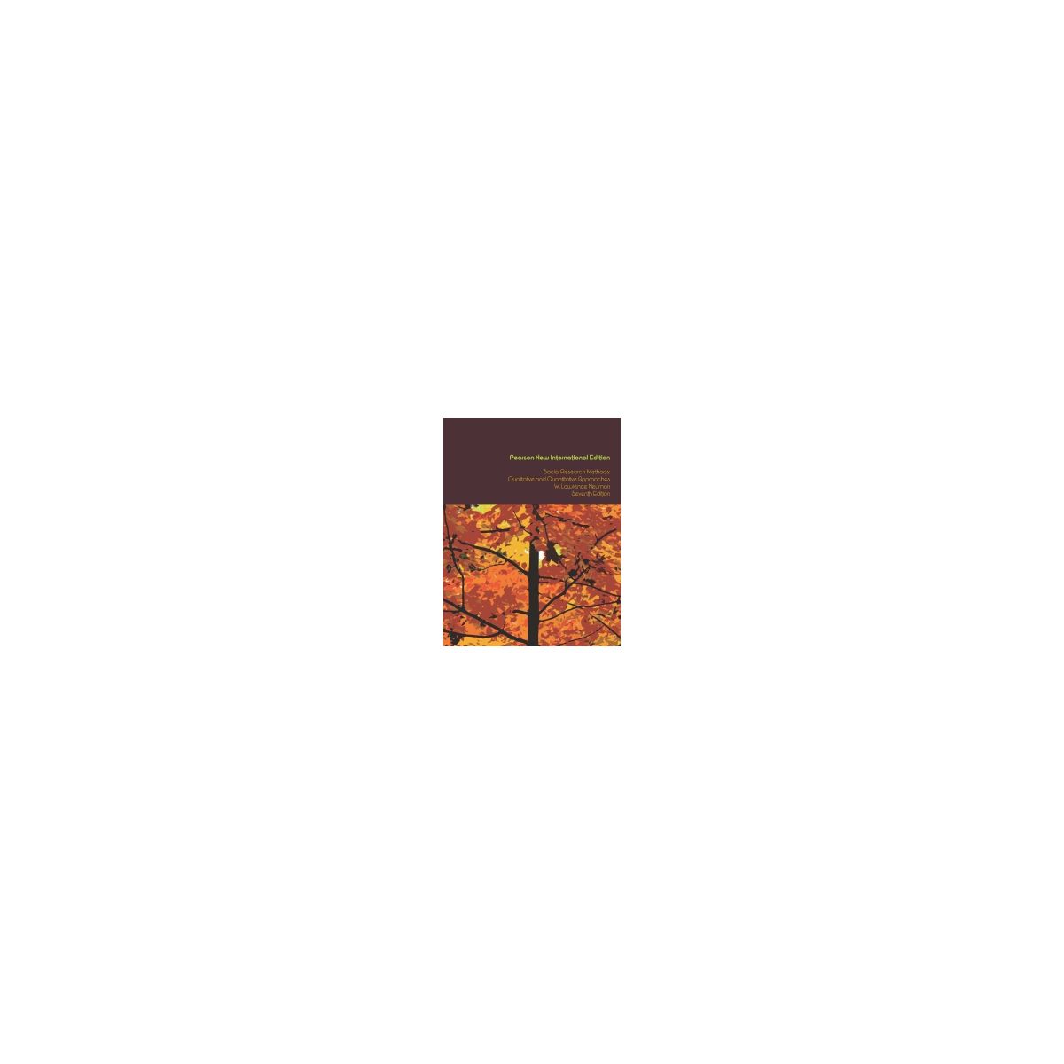 Afbeelding van Social research methods : qualitative and quantitative approaches 7th ed