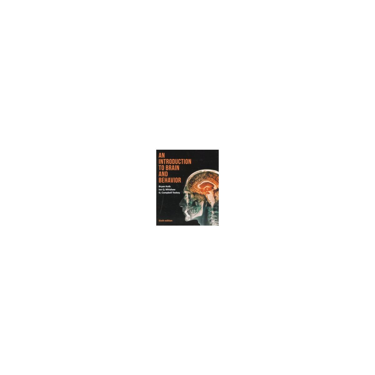 Afbeelding van An introduction to brain and behaviour Afbeelding van An introduction to brain and behaviour