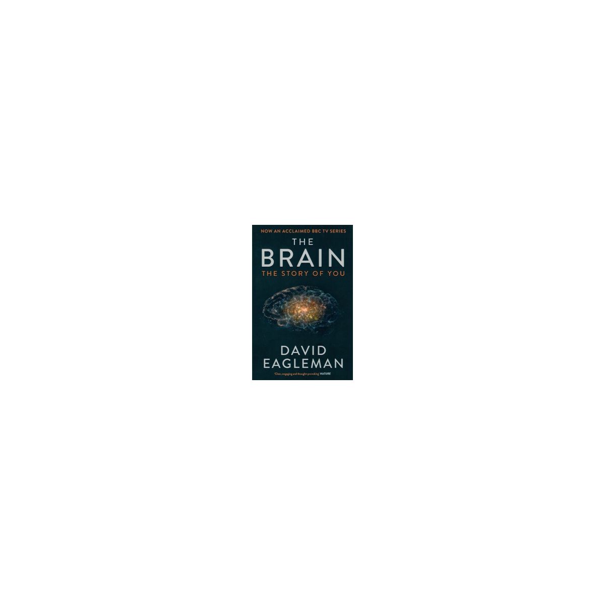 Afbeelding van The brain : the story of you Afbeelding van The brain : the story of you