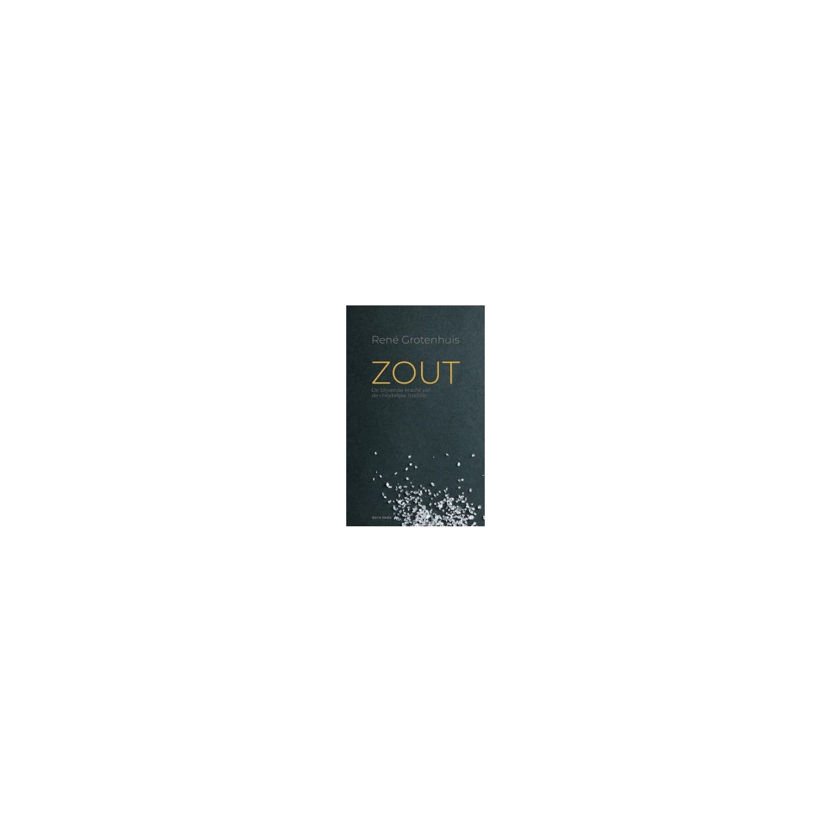Afbeelding van Zout : de blijvende kracht van de christelijke traditie Afbeelding van Zout : de blijvende kracht van de christelijke traditie