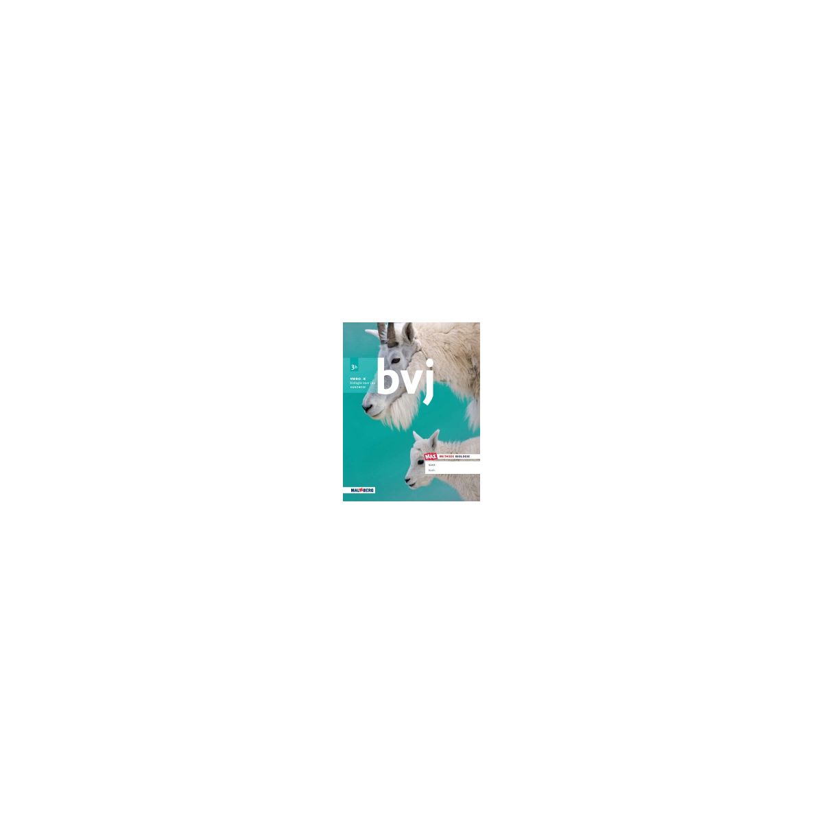 Afbeelding van BVJ - MAX - : 3 vmbo-k A : Werkboek Afbeelding van BVJ - MAX - : 3 vmbo-k A : Werkboek
