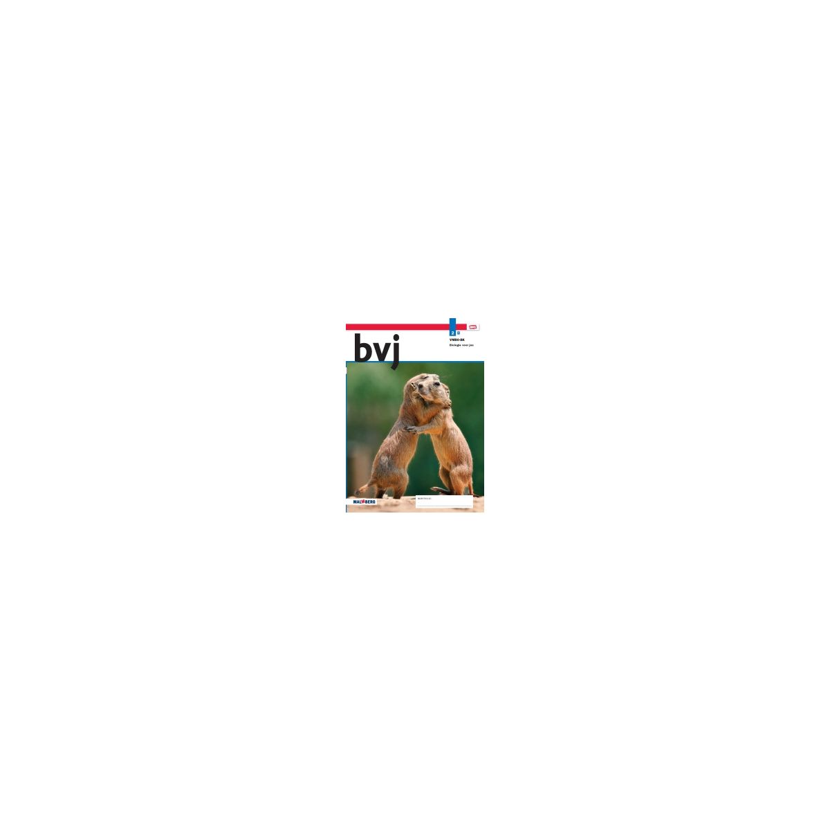Afbeelding van BVJ - MAX - : 2 vmbo-bk B : Leerwerkboek Afbeelding van BVJ - MAX - : 2 vmbo-bk B : Leerwerkboek