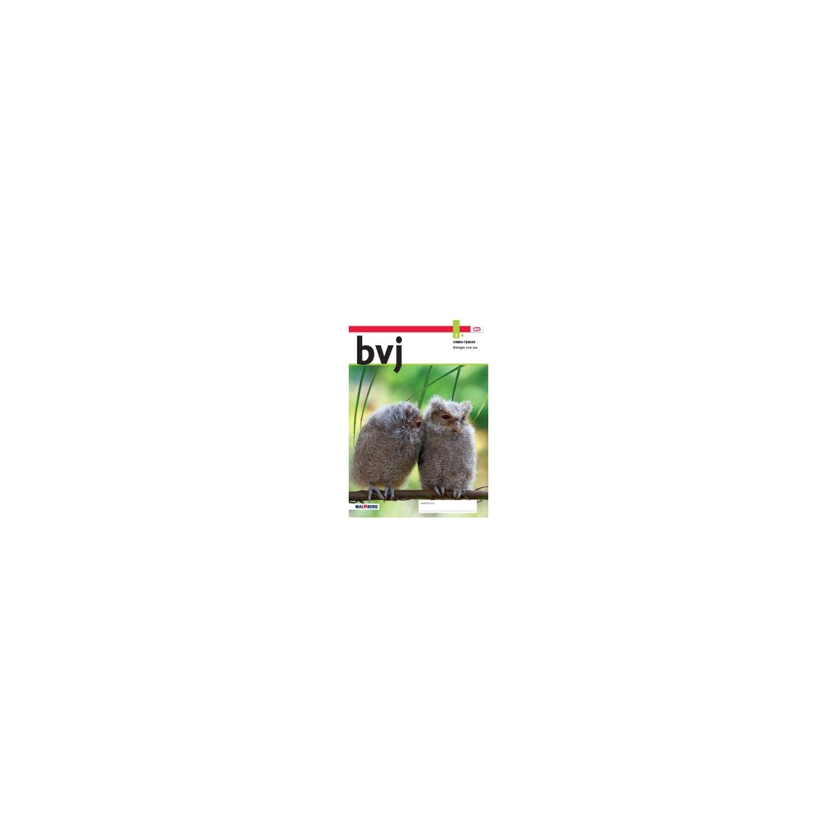 Afbeelding van BVJ - MAX - : 2 vmbo-t/havo A : Leerwerkboek Afbeelding van BVJ - MAX - : 2 vmbo-t/havo A : Leerwerkboek