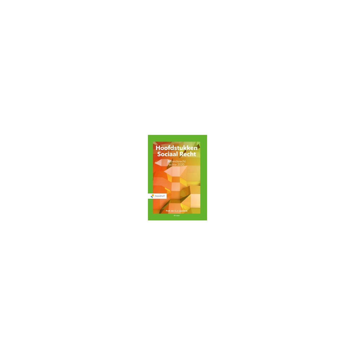 Afbeelding van Hoofdstukken sociaal recht : (Leerboek) Afbeelding van Hoofdstukken sociaal recht : (Leerboek)