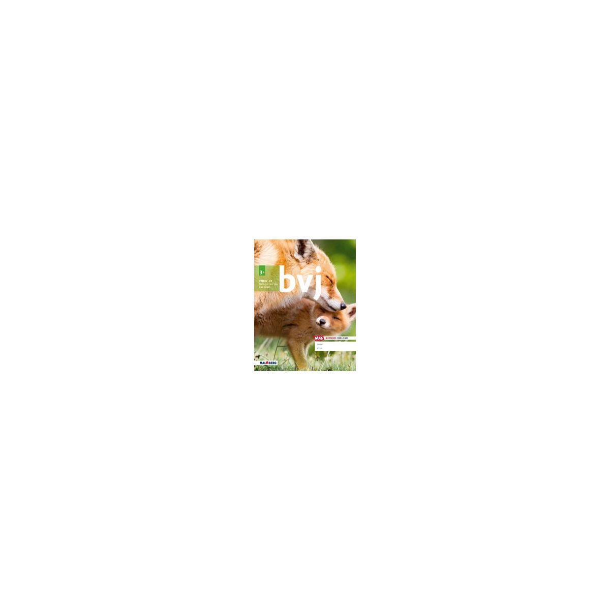 Afbeelding van BVJ 7e ed - MAX - : 3 vmbo-gt AB : Handboek