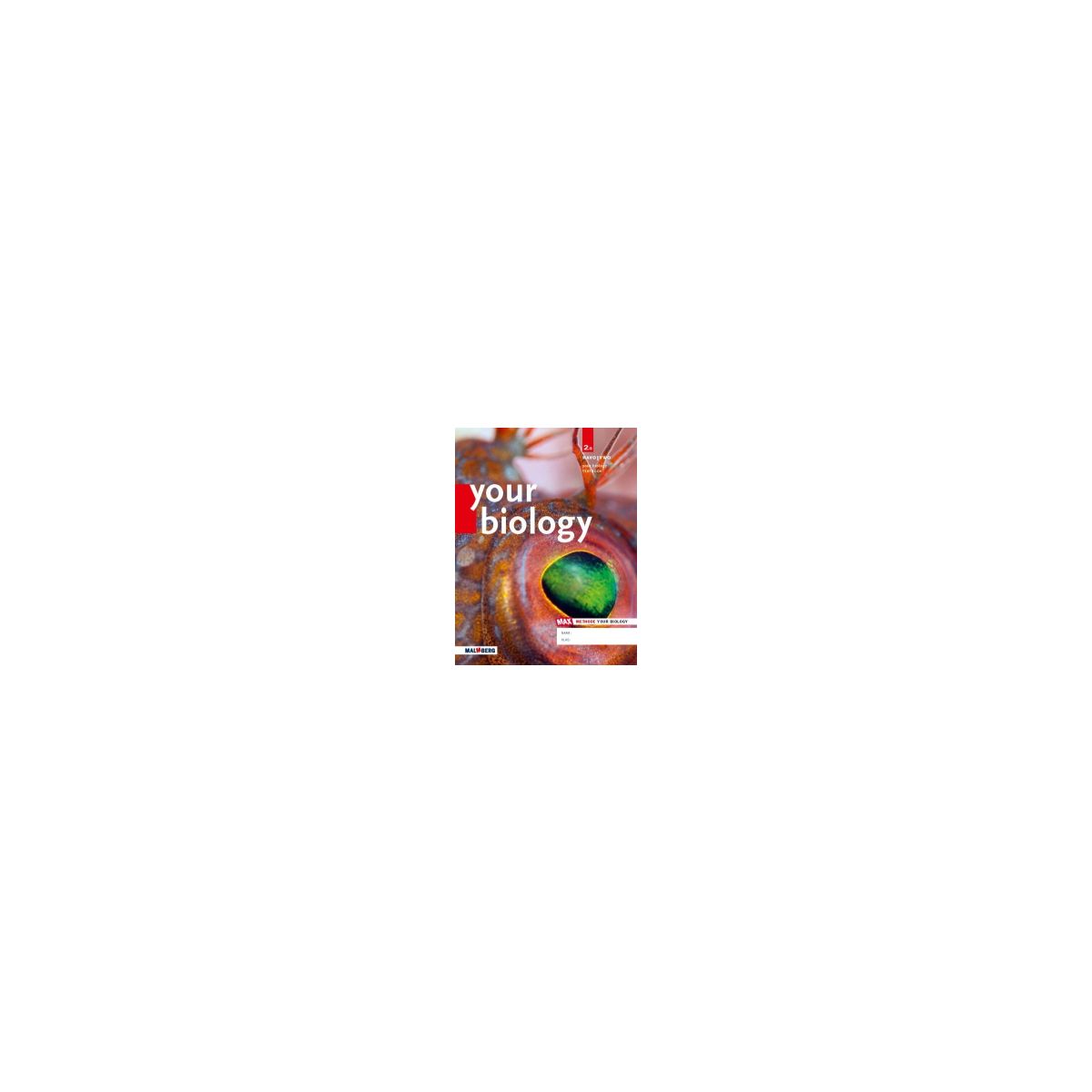 Afbeelding van Your biology - MAX - : 2 havo/vwo A : Textbook Afbeelding van Your biology - MAX - : 2 havo/vwo A : Textbook