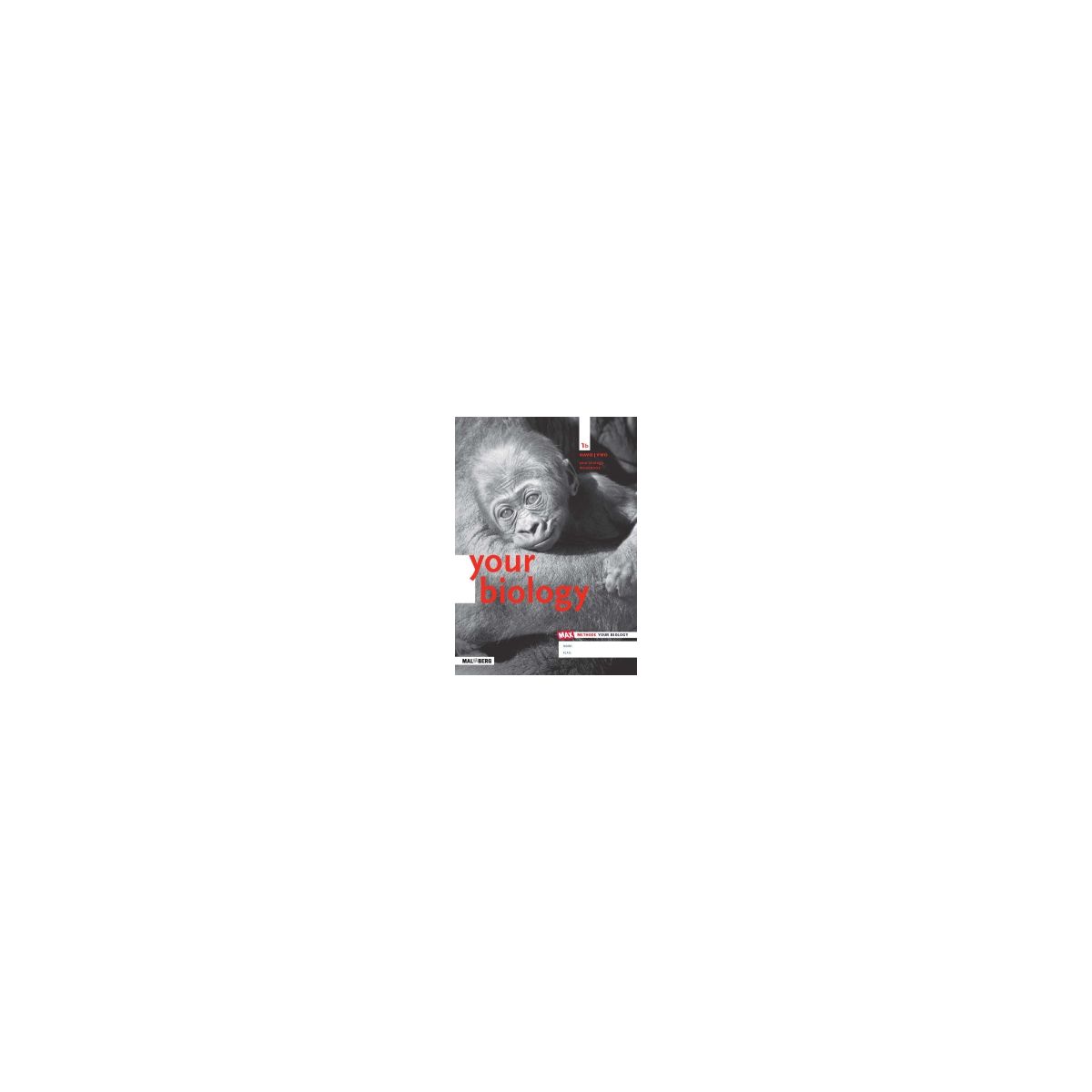 Afbeelding van Your biology : 1 havo/vwo B : Workbook