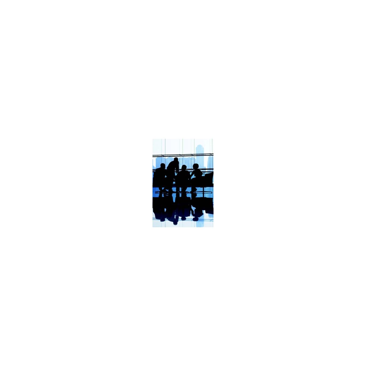 Afbeelding van Sales- en accountmanagement 3e ed