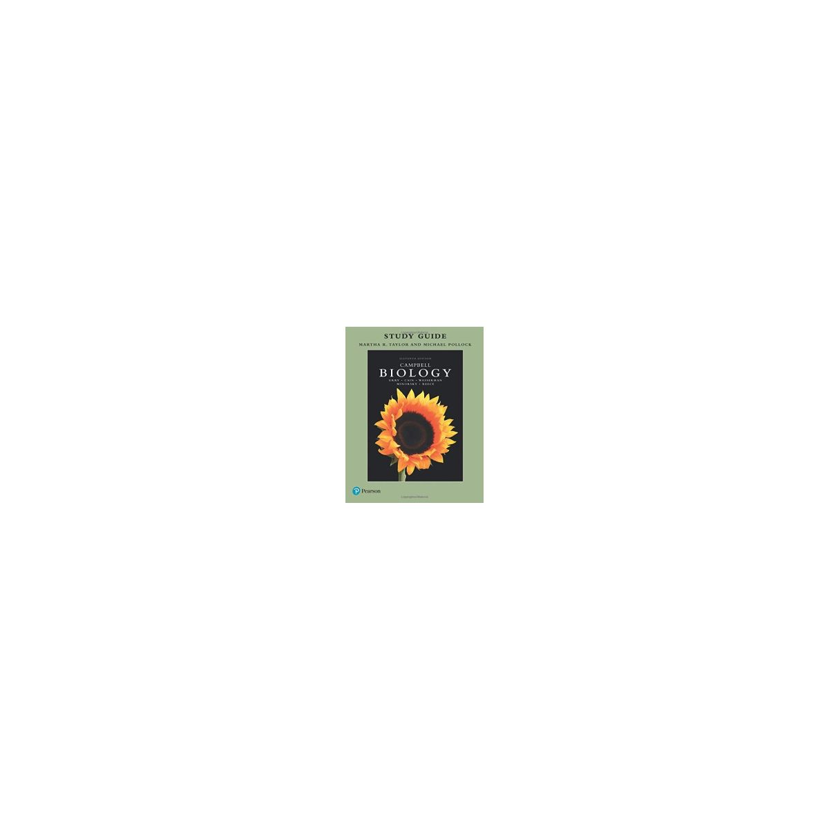 Afbeelding van Study guide for Campbell biology 11th ed Afbeelding van Study guide for Campbell biology 11th ed