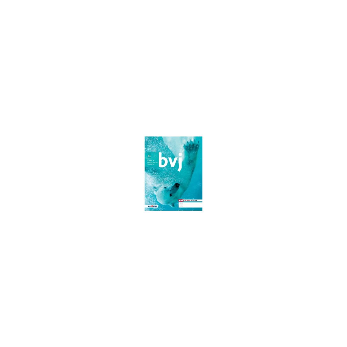 Afbeelding van BVJ - MAX - : 4 vmbo-k B : Handboek