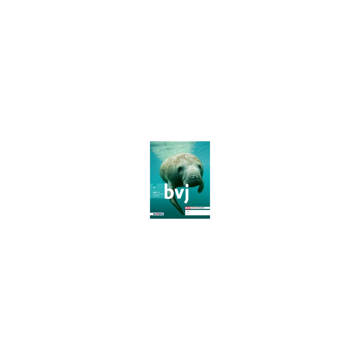 Afbeelding van BVJ - MAX - : 4 vmbo-k A : Handboek Afbeelding van BVJ - MAX - : 4 vmbo-k A : Handboek