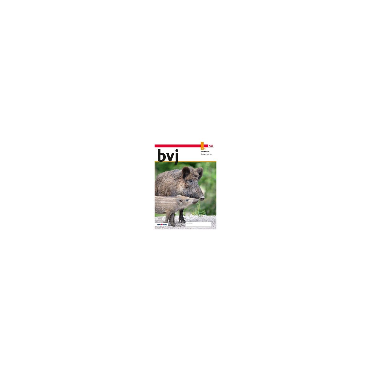 Afbeelding van BVJ - MAX - : 1 havo/vwo A : Leeropdrachtenboek Afbeelding van BVJ - MAX - : 1 havo/vwo A : Leeropdrachtenboek