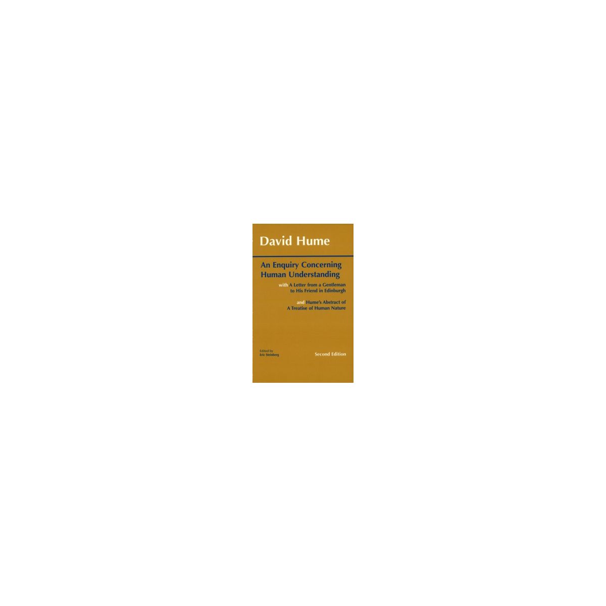 Afbeelding van An enquiry concerning human understanding Afbeelding van An enquiry concerning human understanding