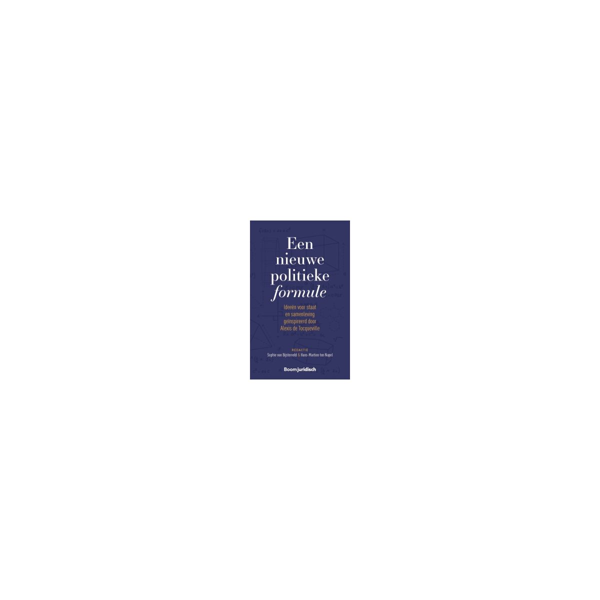 Afbeelding van Een nieuwe politieke formule Afbeelding van Een nieuwe politieke formule
