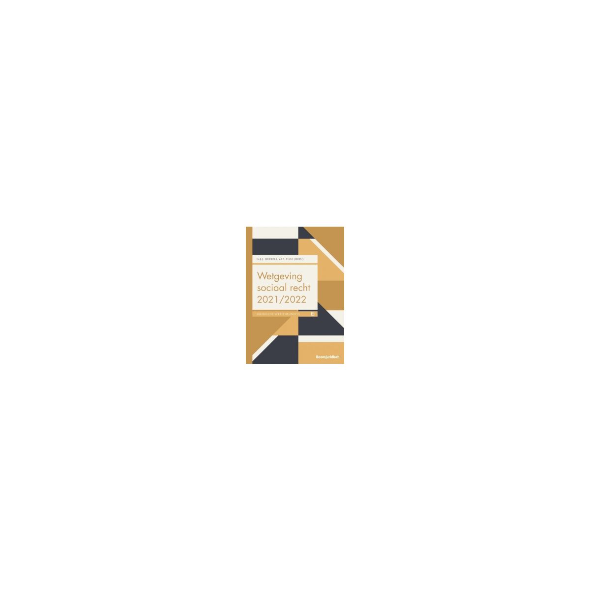 Afbeelding van Wetgeving sociaal recht 2021/2022 Afbeelding van Wetgeving sociaal recht 2021/2022