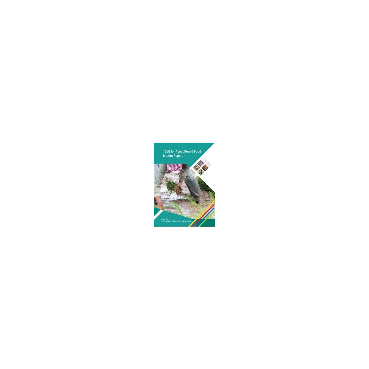 Afbeelding van 5.1 TEEB for Agriculture & Food Afbeelding van 5.1 TEEB for Agriculture & Food