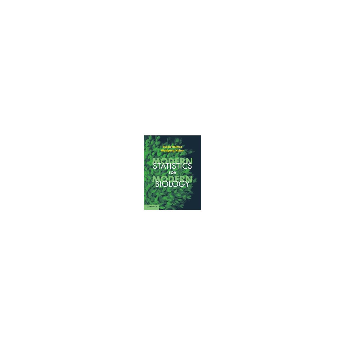 Afbeelding van Modern statistics for modern biology Afbeelding van Modern statistics for modern biology