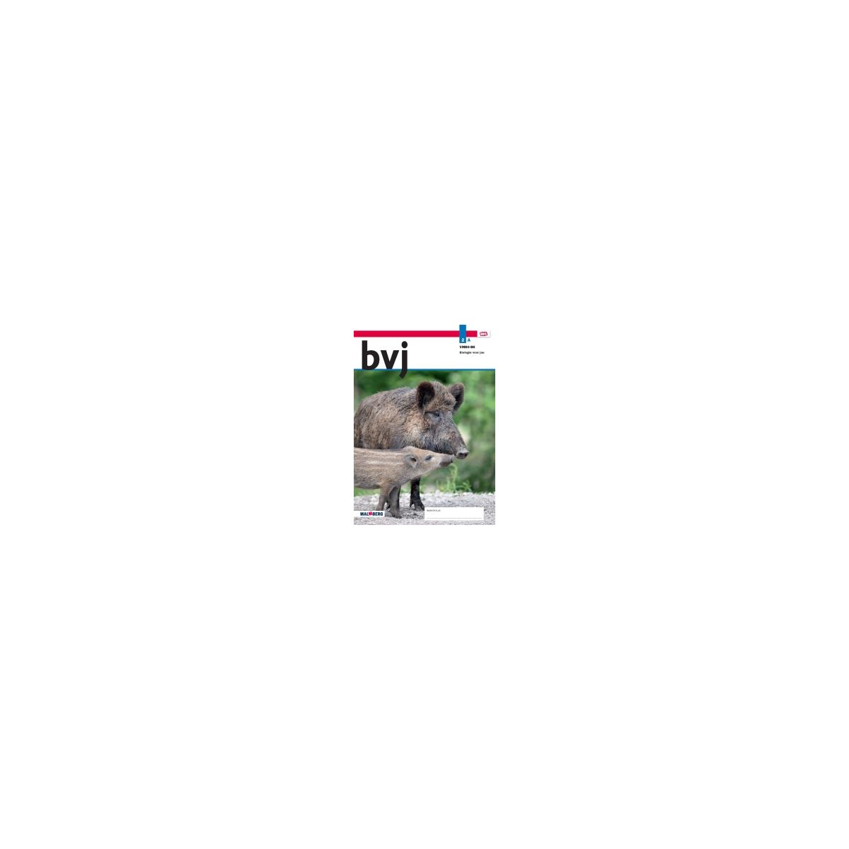 Afbeelding van BVJ - MAX - : 2 vmbo-bk A : Leerwerkboek Afbeelding van BVJ - MAX - : 2 vmbo-bk A : Leerwerkboek