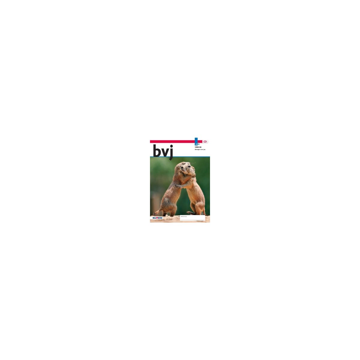 Afbeelding van BVJ - MAX - : 2 vmbo-bk B : Leerwerkboek Afbeelding van BVJ - MAX - : 2 vmbo-bk B : Leerwerkboek