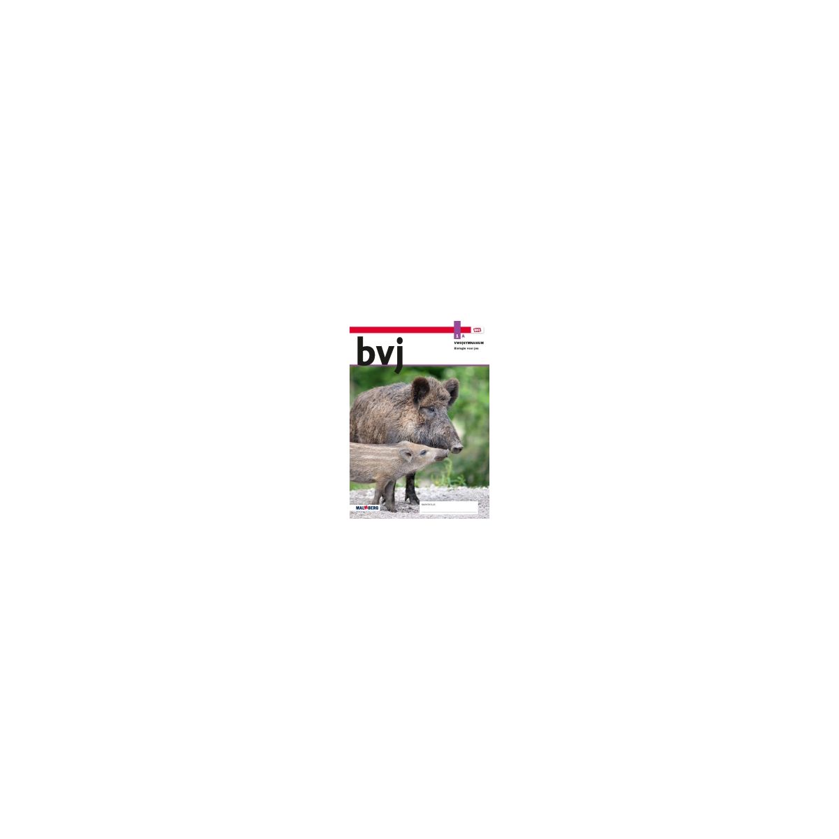 Afbeelding van BVJ - MAX - : 1 vwo/gymnasium A : Leeropdrachtenboek Afbeelding van BVJ - MAX - : 1 vwo/gymnasium A : Leeropdrachtenboek
