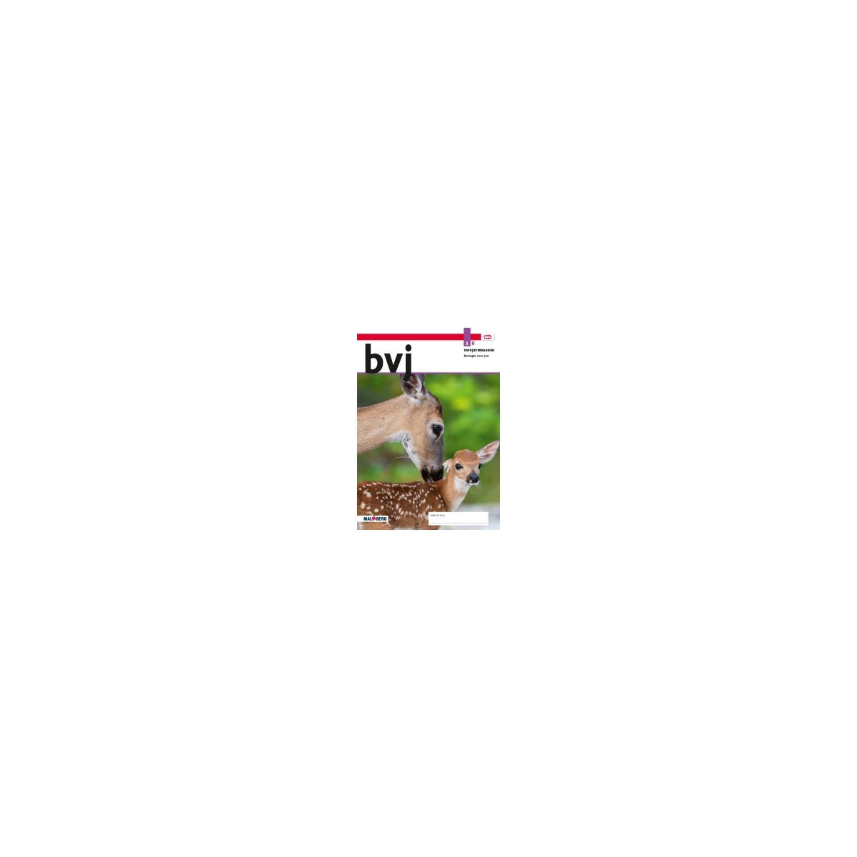 Afbeelding van BVJ - MAX - : 1 vwo/gymnasium B : Leeropdrachtenboek Afbeelding van BVJ - MAX - : 1 vwo/gymnasium B : Leeropdrachtenboek