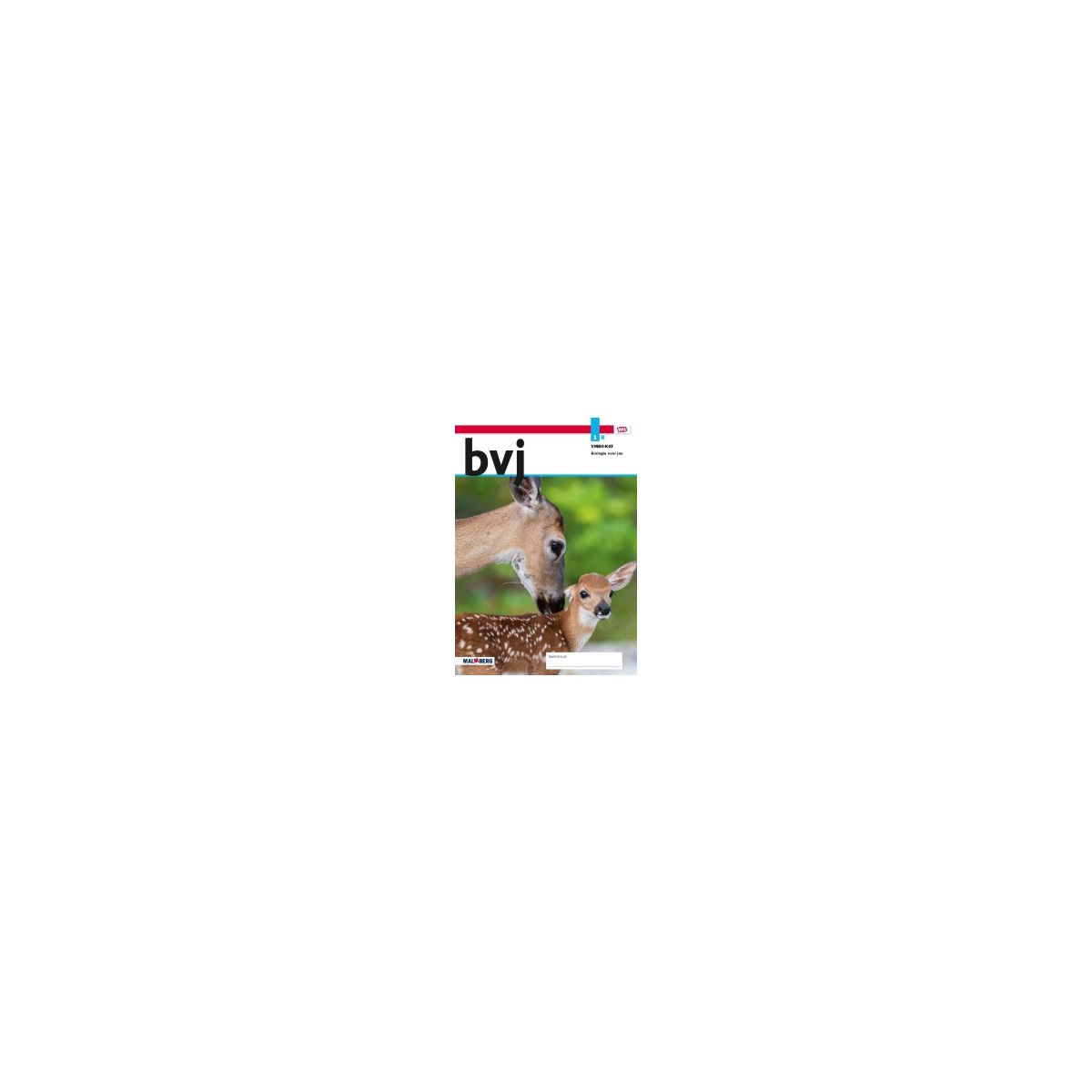 Afbeelding van BVJ - MAX - : 1 vmbo-kgt B : Leerwerkboek Afbeelding van BVJ - MAX - : 1 vmbo-kgt B : Leerwerkboek