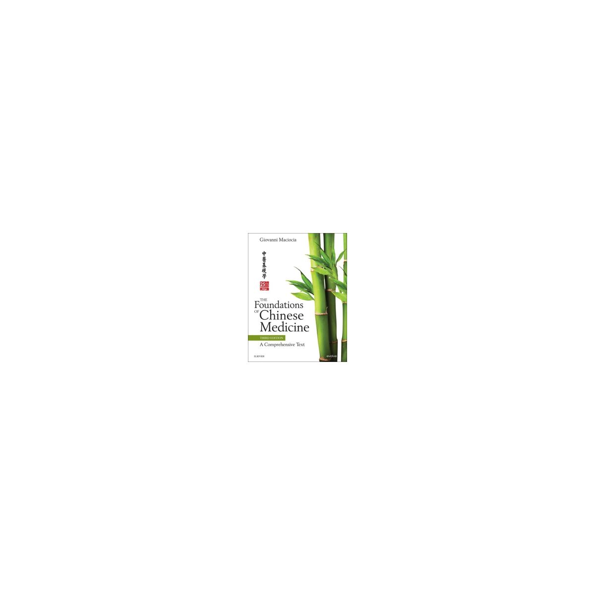 Afbeelding van The foundations of Chinese medicine Afbeelding van The foundations of Chinese medicine