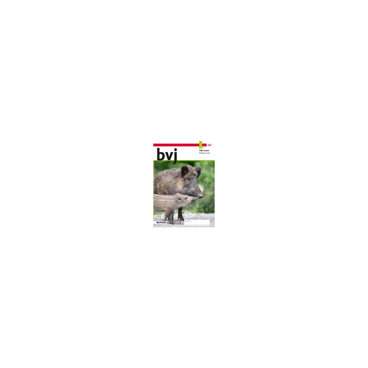 Afbeelding van Biologie voor jou - MAX - : 1 vmbo t/havo A : Leerwerkboek Afbeelding van Biologie voor jou - MAX - : 1 vmbo t/havo A : Leerwerkboek