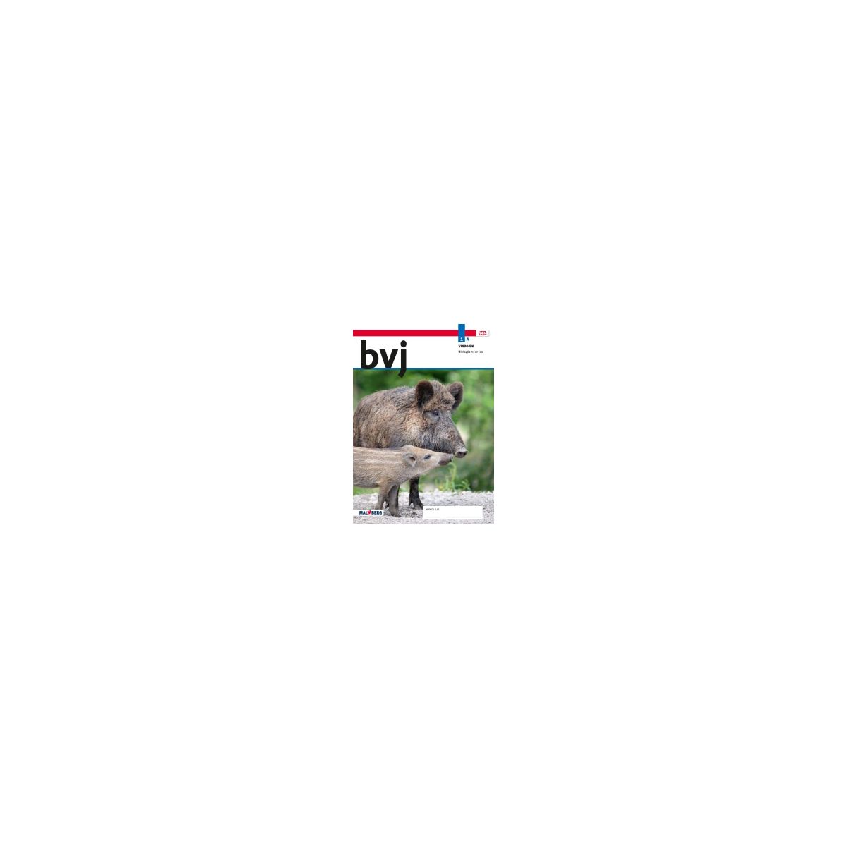 Afbeelding van BVJ - MAX - : 1 vmbo-bk A : Leerwerkboek Afbeelding van BVJ - MAX - : 1 vmbo-bk A : Leerwerkboek