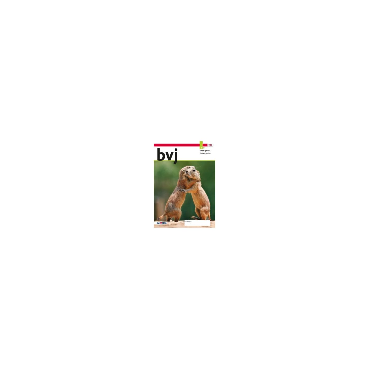 Afbeelding van BVJ - MAX - : 2 vmbo-t/havo B : Leerwerkboek Afbeelding van BVJ - MAX - : 2 vmbo-t/havo B : Leerwerkboek