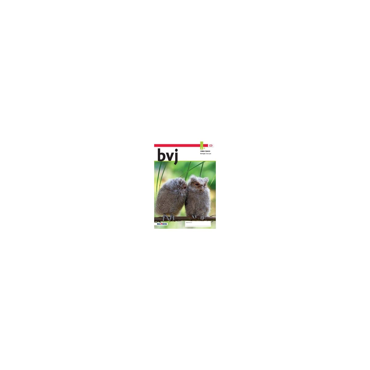 Afbeelding van BVJ 8.1 - MAX - : 2 vmbo-t/havo A : Leerwerkboek Afbeelding van BVJ 8.1 - MAX - : 2 vmbo-t/havo A : Leerwerkboek