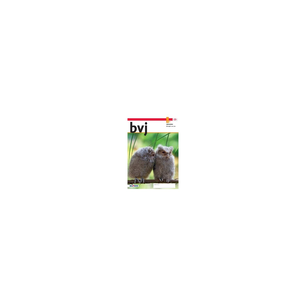 Afbeelding van BVJ 8.1 - MAX - : 2 havo/vwo A : Leeropdrachtenboek Afbeelding van BVJ 8.1 - MAX - : 2 havo/vwo A : Leeropdrachtenboek