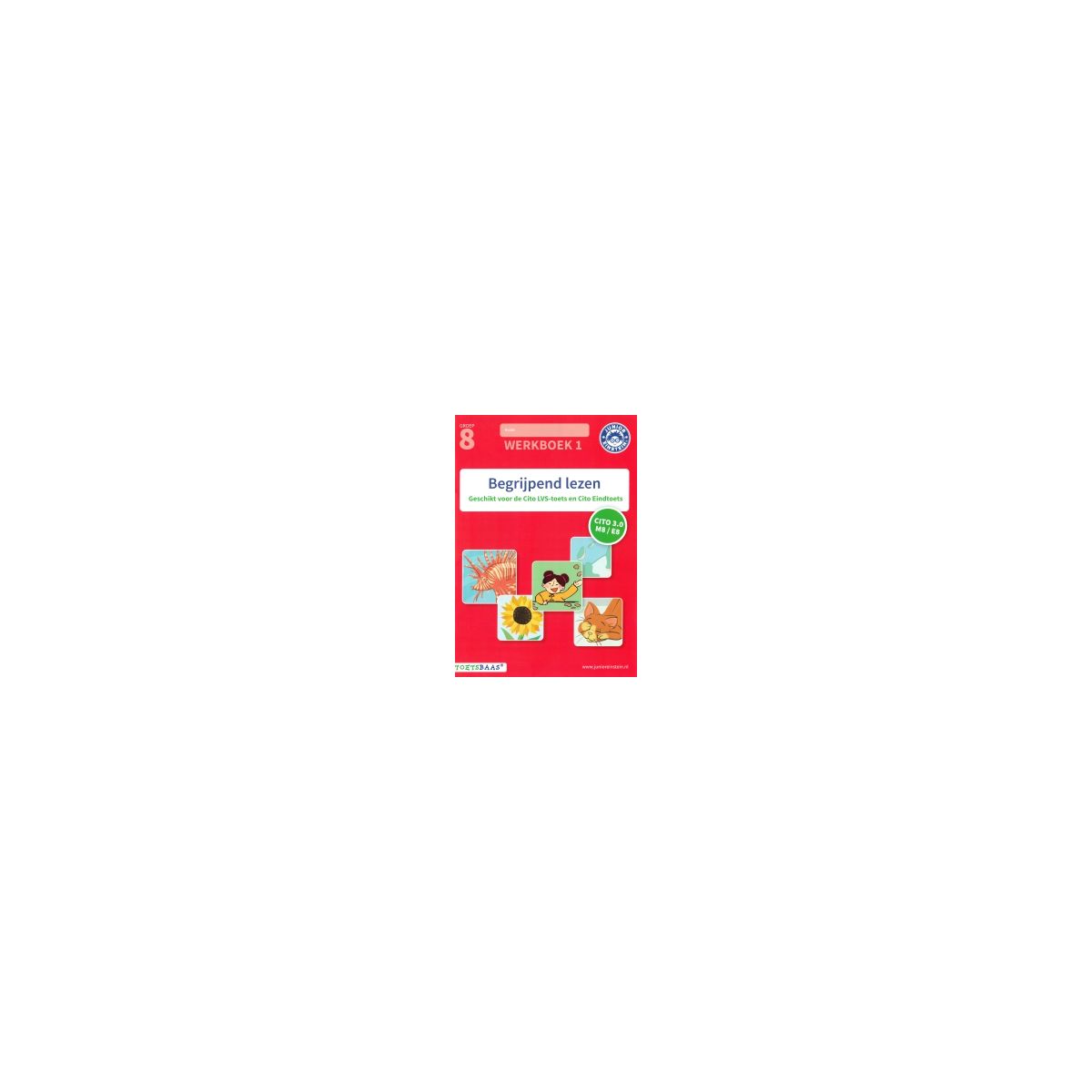 Afbeelding van Begrijpend lezen : Groep 8, 1 : Werkboek Afbeelding van Begrijpend lezen : Groep 8, 1 : Werkboek