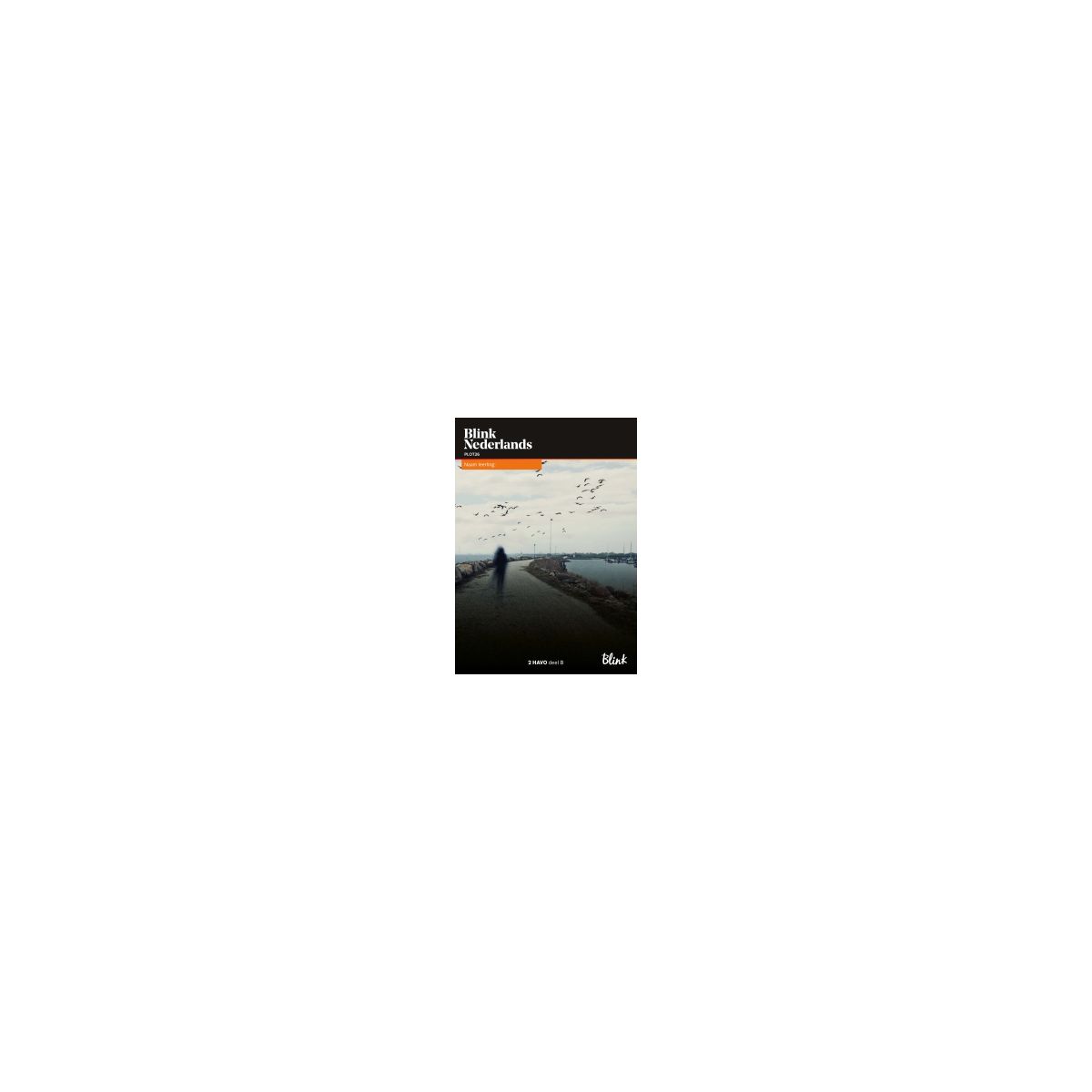 Afbeelding van Blink Nederlands : 2 havo B : Leerwerkboek
