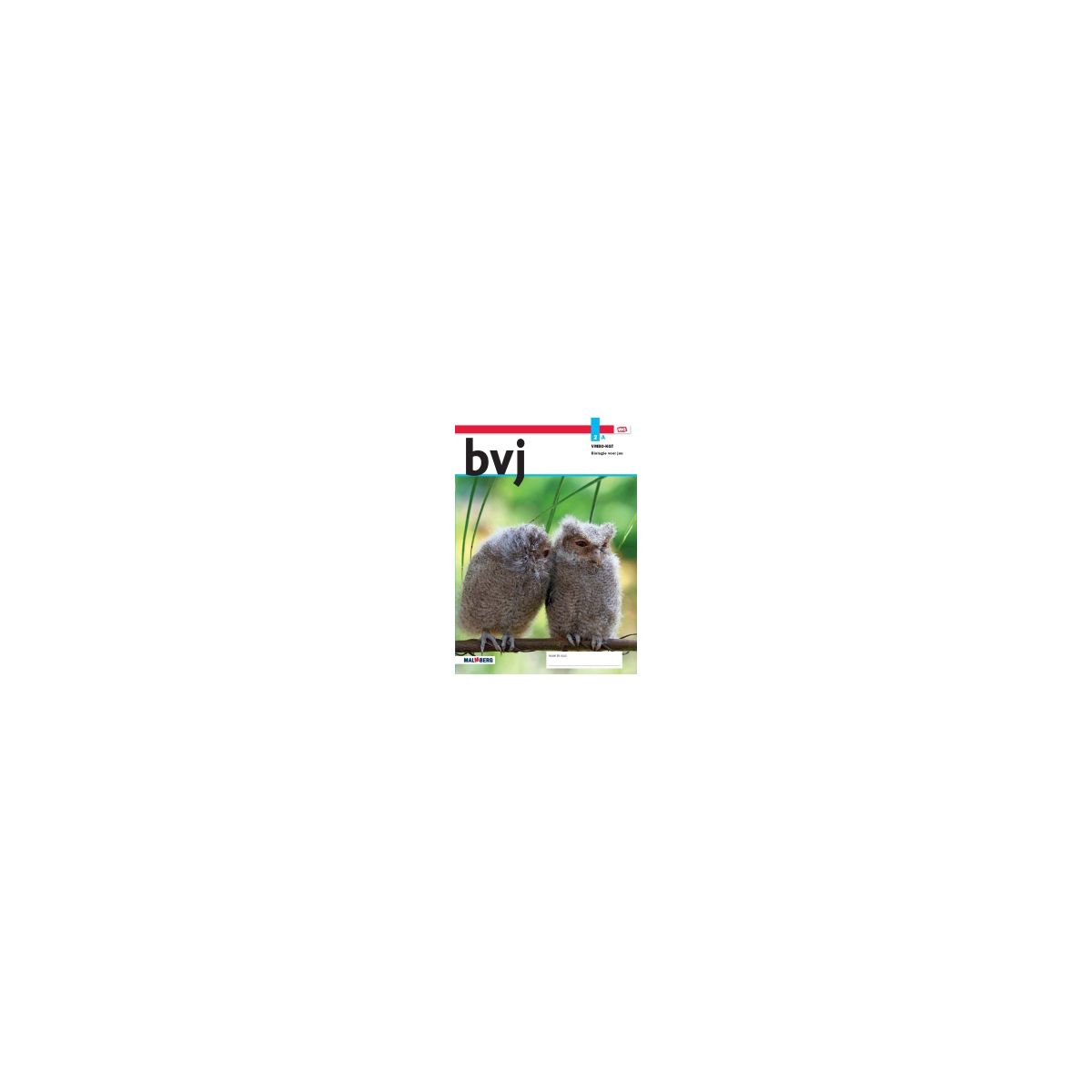 Afbeelding van BVJ 8.1 - MAX - : 2 vmbo-kgt A : Leerwerkboek Afbeelding van BVJ 8.1 - MAX - : 2 vmbo-kgt A : Leerwerkboek
