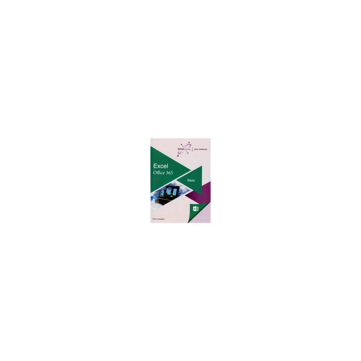 Afbeelding van Excel office 365 : Basis Afbeelding van Excel office 365 : Basis
