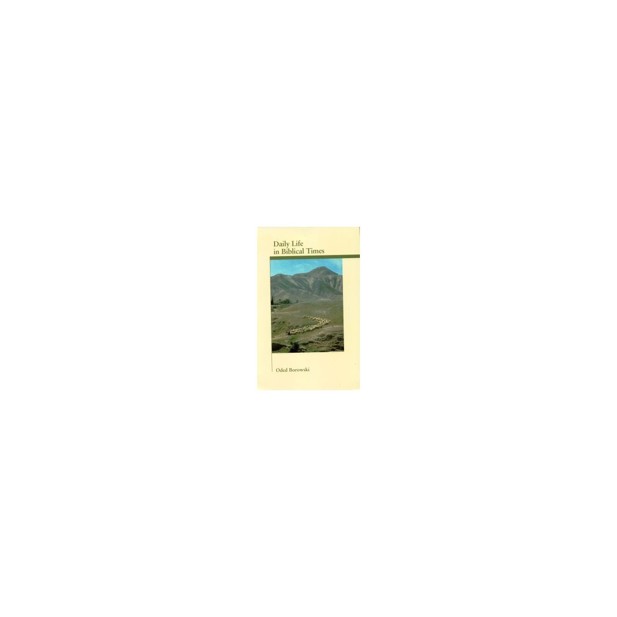 Afbeelding van Daily life in biblical times Afbeelding van Daily life in biblical times