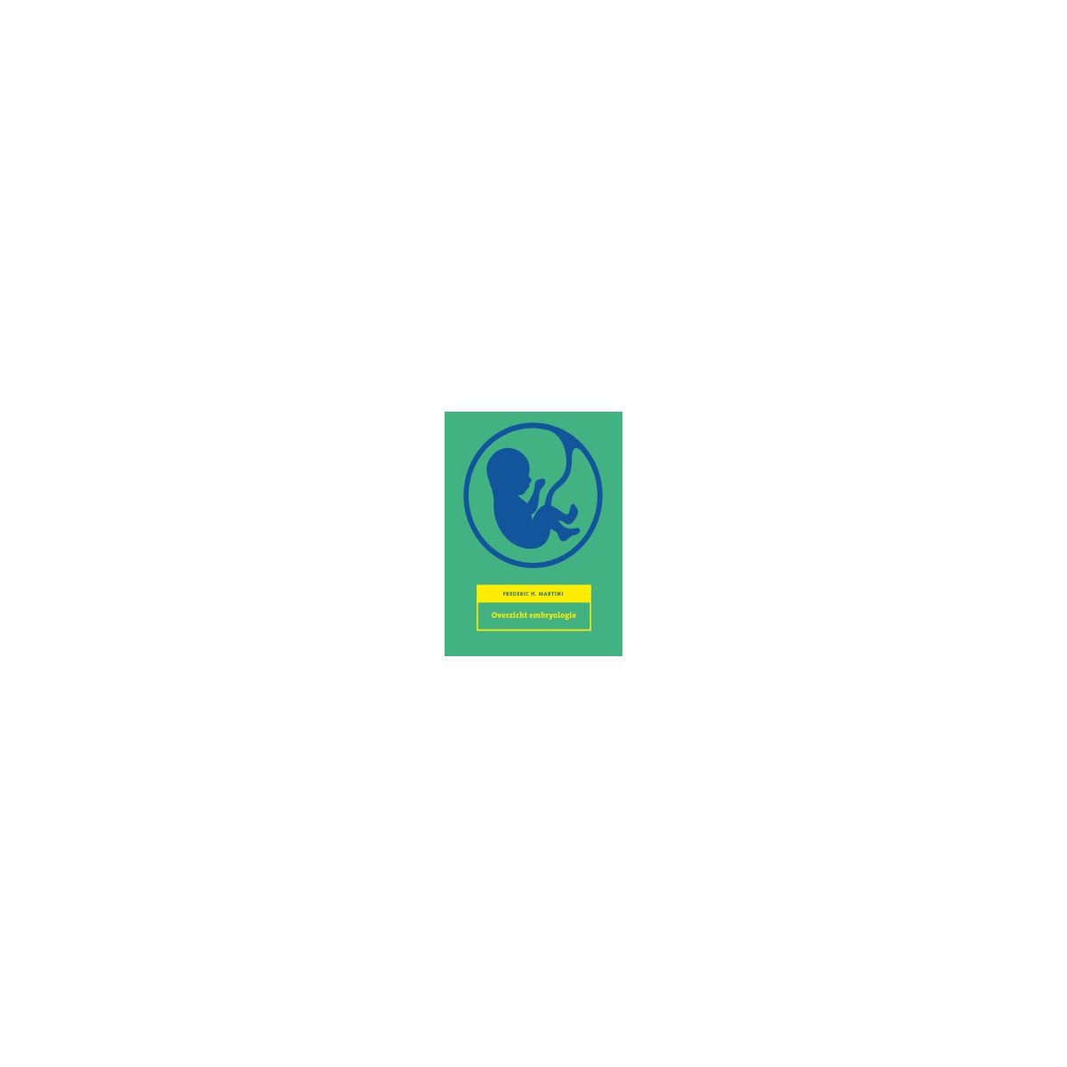 Afbeelding van Overzicht embryologie Afbeelding van Overzicht embryologie