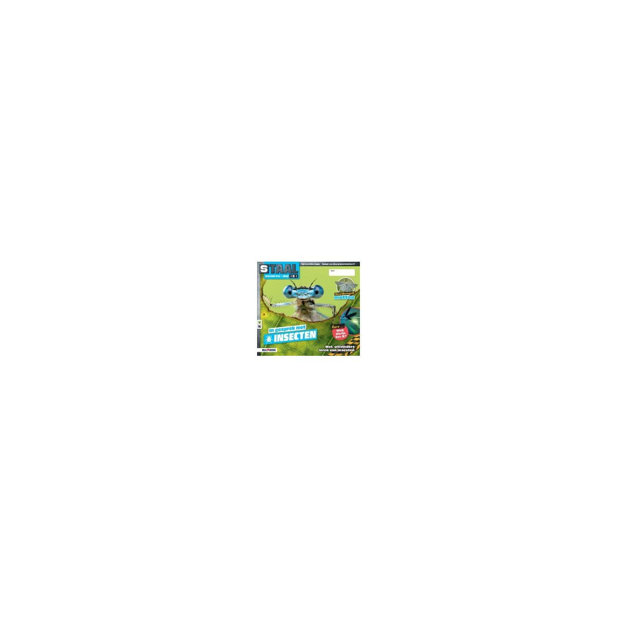 Afbeelding van Staal Taal 2 : Groep 5 : Thema 1 Insecten : Magazine Afbeelding van Staal Taal 2 : Groep 5 : Thema 1 Insecten : Magazine