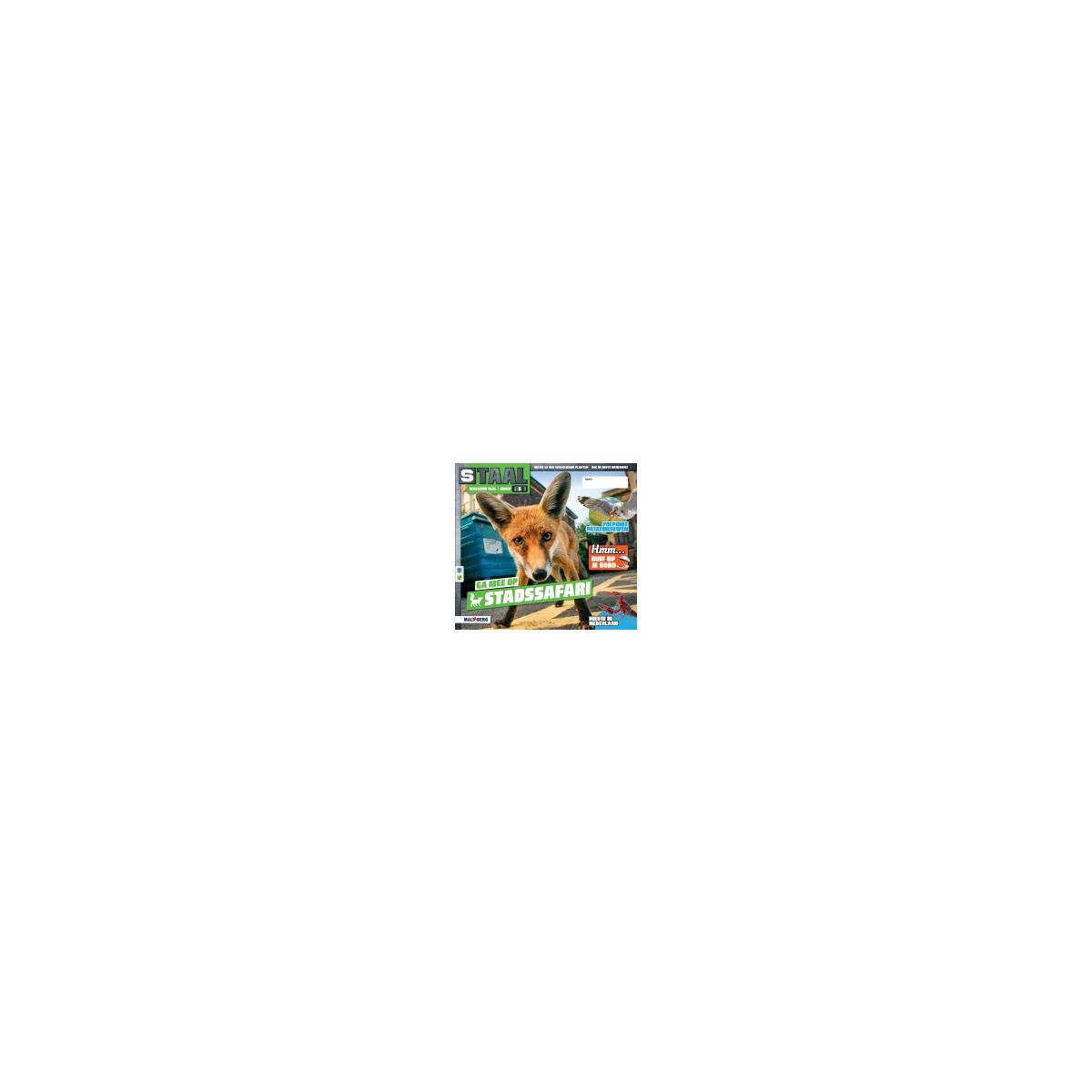 Afbeelding van Staal Taal 2 : Groep 6 : Thema 6 Stadssafari : Magazine Afbeelding van Staal Taal 2 : Groep 6 : Thema 6 Stadssafari : Magazine