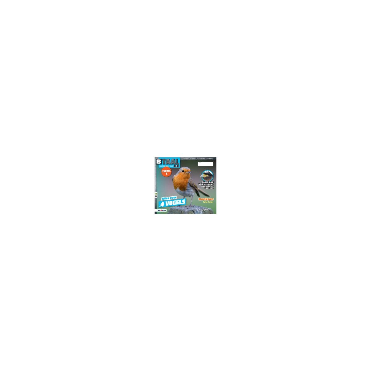 Afbeelding van Staal Taal 2 : Groep 4 : Thema 1 Vogels : Magazine Afbeelding van Staal Taal 2 : Groep 4 : Thema 1 Vogels : Magazine