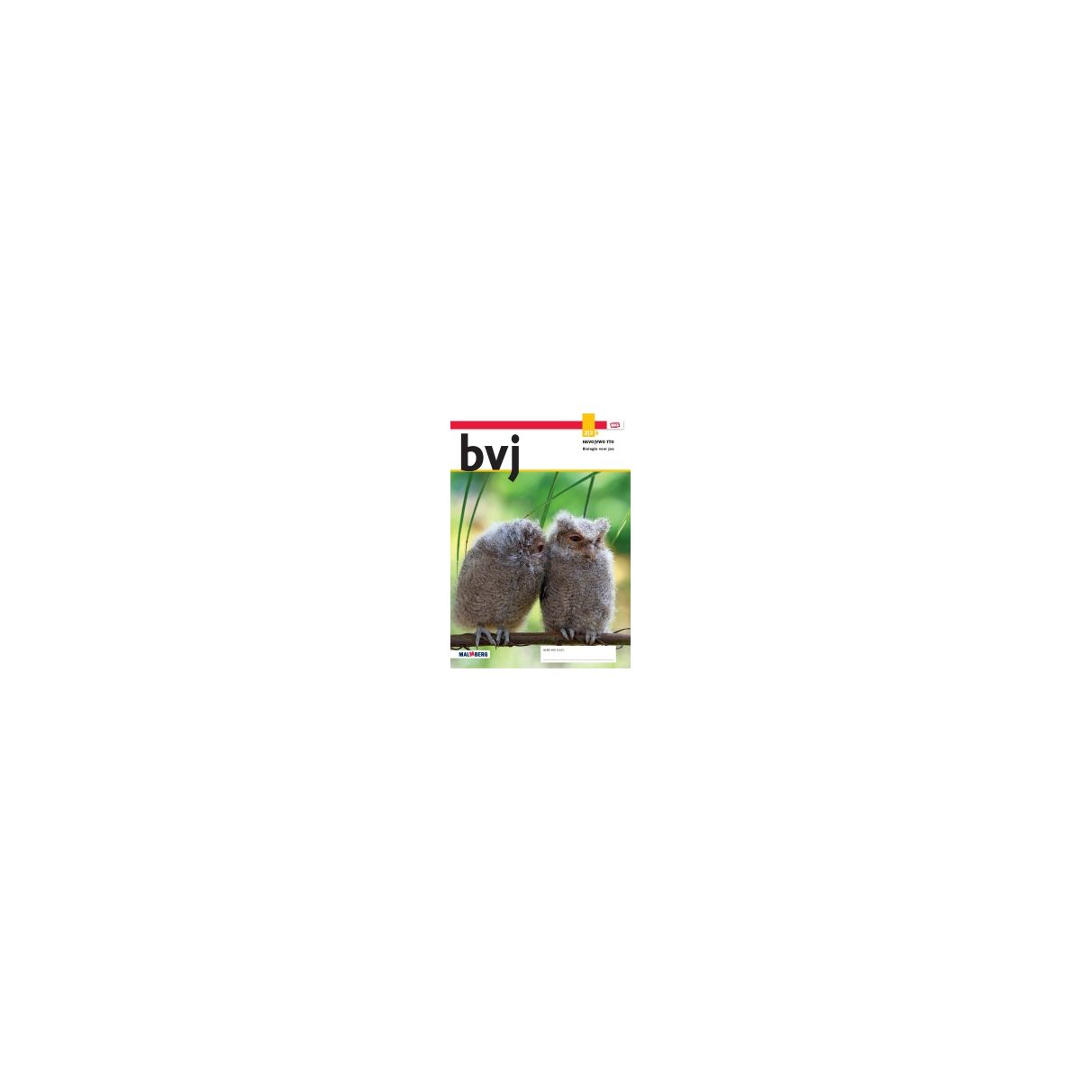 Afbeelding van BVJ TTO 8.2 - MAX - : 2+3 havo/vwo A : Leeropdrachtenboek Afbeelding van BVJ TTO 8.2 - MAX - : 2+3 havo/vwo A : Leeropdrachtenboek