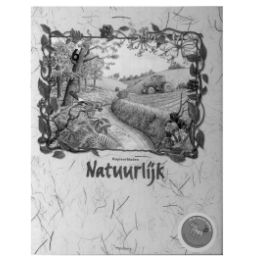 Afbeelding van Natuurlijk 2e ed : Groep 6 : Kopieerbladen