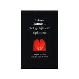 Afbeelding van Het gelijk van Spinoza