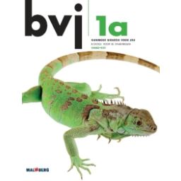 Afbeelding van BVJ 6e dr : 1 vmbo-kgt A : Handboek