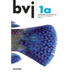 Afbeelding van BVJ 6e dr : 1 vmbo-bk A : Leerwerkboek