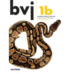 Afbeelding van BVJ 6e dr : 1 vmbo-t/havo/vwo B : Handboek
