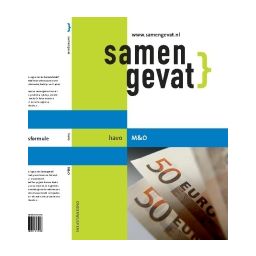 Afbeelding van Samengevat Management & organisatie : havo