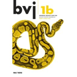 Afbeelding van BVJ 6e dr : 1 vmbo-t/havo/vwo B : Werkboek